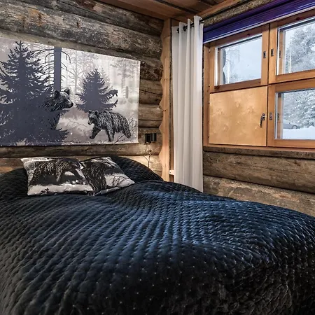 Baby Bear, - Slopes, Skiing, Hiking Lejlighed Ruka