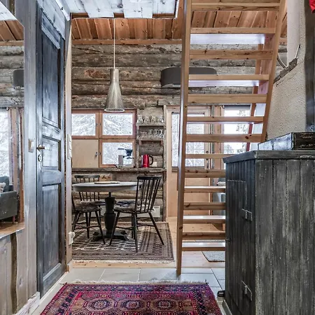 Baby Bear, - Slopes, Skiing, Hiking * Ruka