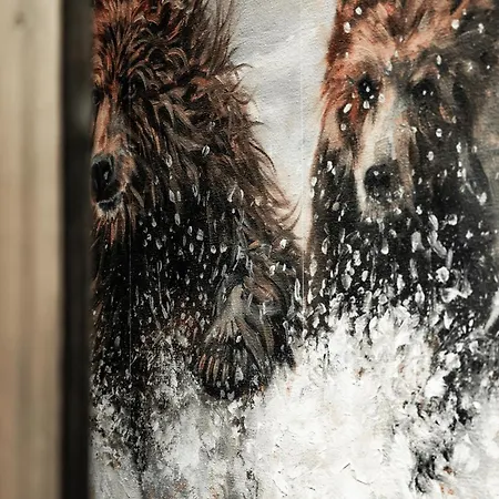 Baby Bear, - Slopes, Skiing, Hiking Ruka