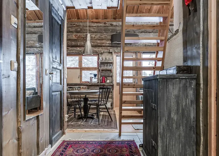 Baby Bear, - Slopes, Skiing, Hiking * Ruka